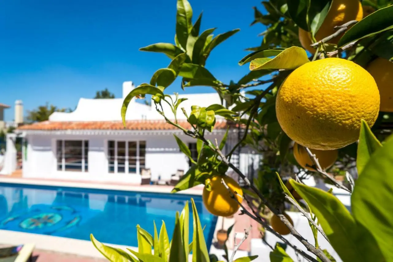 Finca Del Mundo Boutique B&B 0*, Alhaurin el Grande Spain