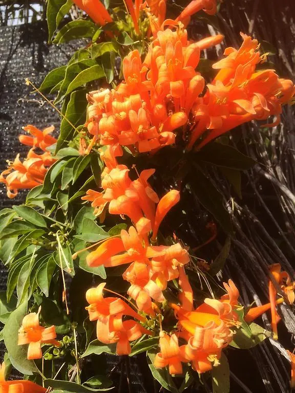 Bed & Breakfast Finca Del Mundo Boutique B&B