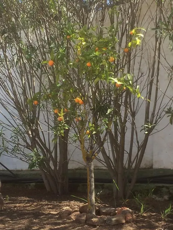Finca Del Mundo Boutique B&B Spain