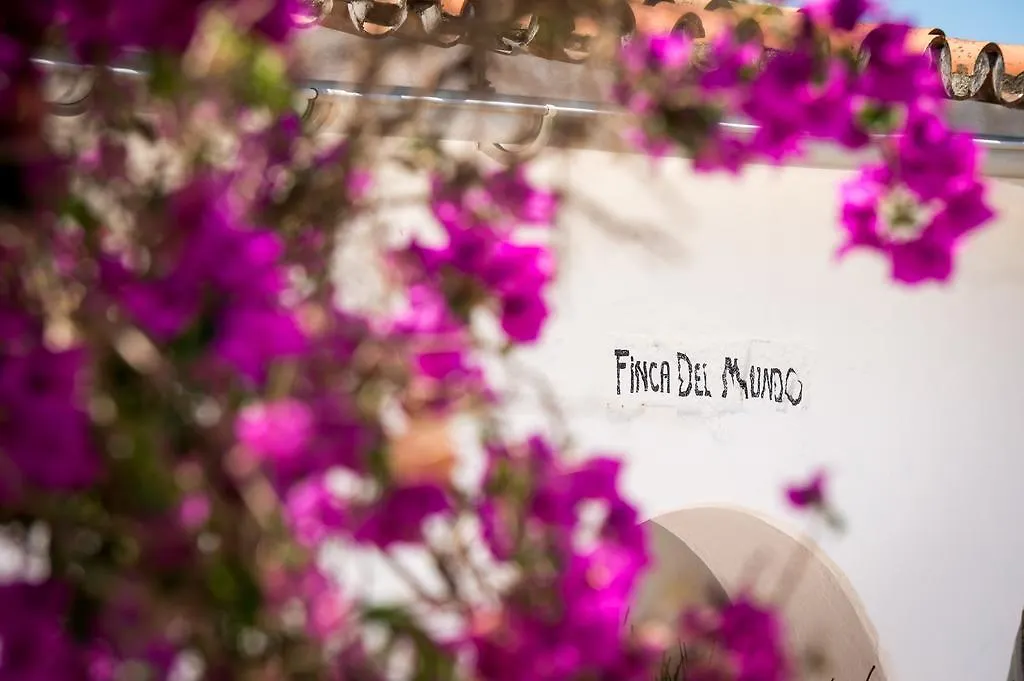 Bed & Breakfast Finca Del Mundo Boutique B&B