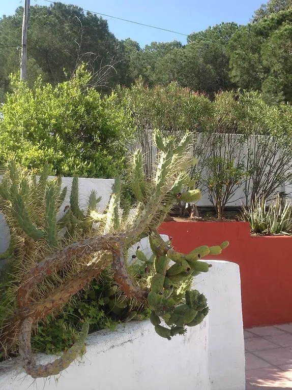 Bed & Breakfast Finca Del Mundo Boutique B&B Spain